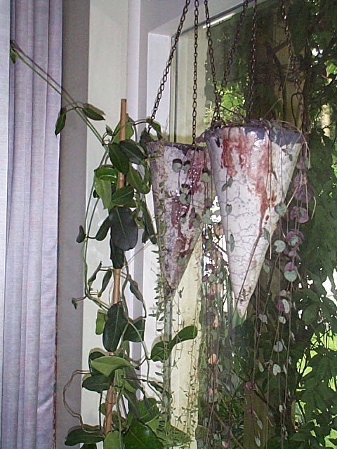 Pic 115.jpg