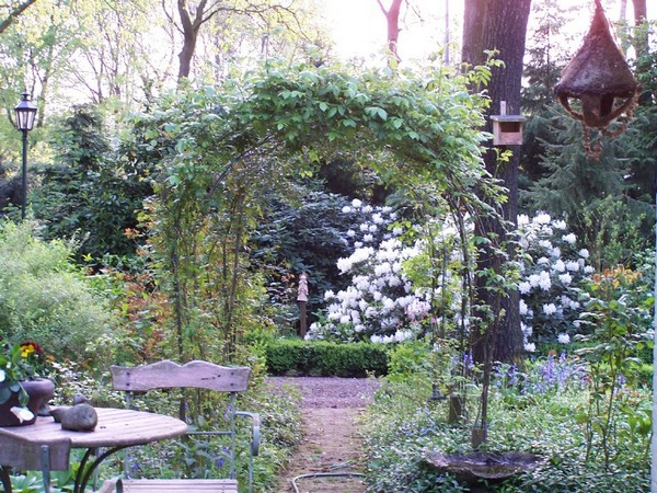 Pic 194.jpg