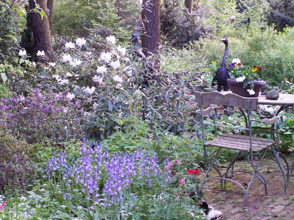 Pic 195.jpg