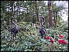 Pic 080.jpg