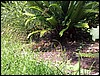 Pic 147.jpg