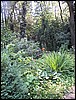 Pic 168.jpg